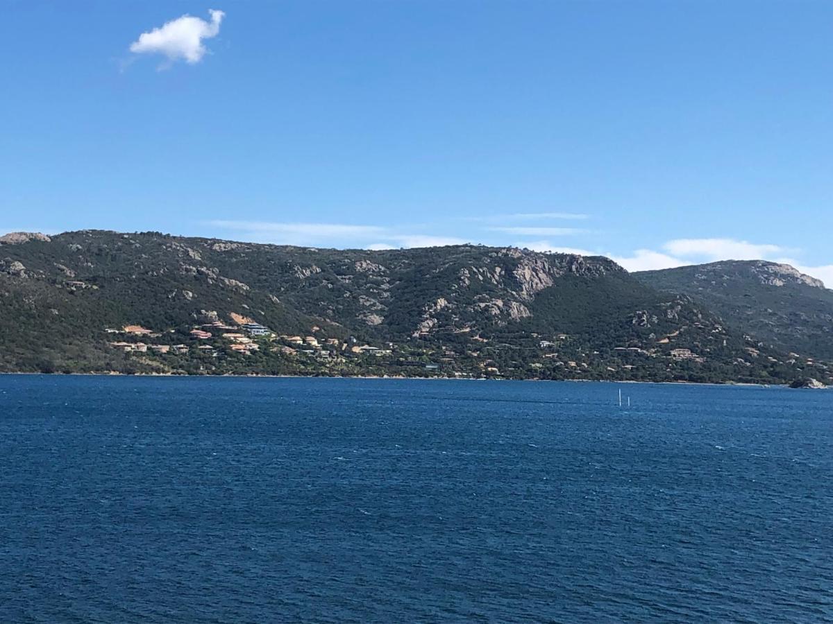 Appt T2 Standing Avec Piscine Et Terrasse Apartment Porto-Vecchio  Bagian luar foto